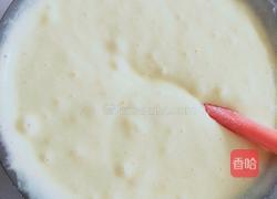 轻乳酪蛋糕8寸的做法图解10