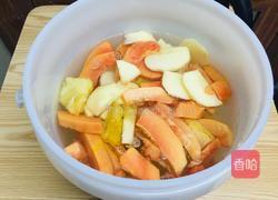 菠萝木瓜酵素的做法图解5