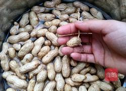 盐水花生的做法图解3