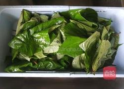 蒜香红薯叶的做法图解3