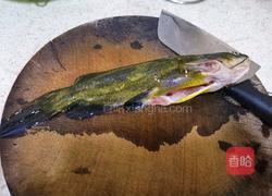 清蒸黄骨鱼的做法图解1