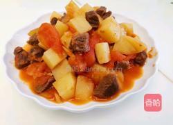西红柿土豆焖牛腩的做法图解15
