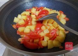西红柿土豆焖牛腩的做法图解11