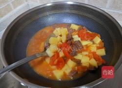西红柿土豆焖牛腩的做法图解13
