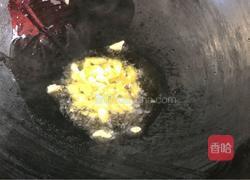 杂蔬杏鲍菇的做法图解7