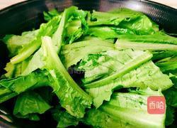 蒜茸油麦菜的做法图解10