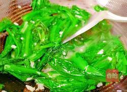 蒜茸油麦菜的做法图解13