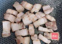 Illustration of braised pork 4