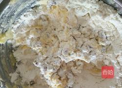 懒人版…蔓越莓葡萄干曲奇(少糖)可做宝宝辅食的做法图解8