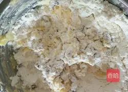 Lazy version...Cranberry raisin cookies (less sugar) can be used as baby food supplement Illustration 8