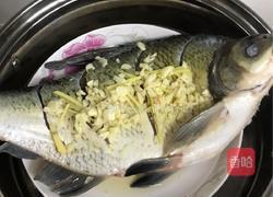 清蒸鳊鱼的做法图解5