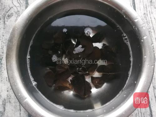 黑木耳捞出后浸凉水。