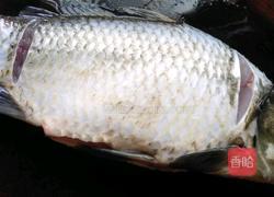 土鲫鱼豆腐汤的做法图解2