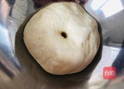 不加盐不加糖的奶香馒头,宝宝都爱吃的做法图解7