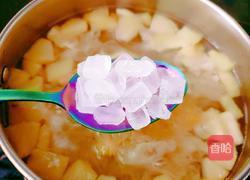 苹果银耳汤的做法图解8