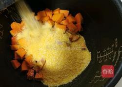 南瓜白芸豆苞谷臻的做法图解4