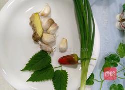 土鲫鱼豆腐汤的做法图解5