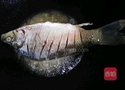 土鲫鱼豆腐汤的做法图解11