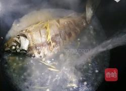 土鲫鱼豆腐汤的做法图解14