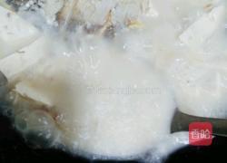 土鲫鱼豆腐汤的做法图解17