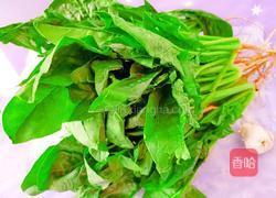 蒜茸菠菜的做法图解1