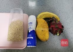 松子酸奶水果捞的做法图解1