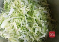 凉拌包菜的做法图解1