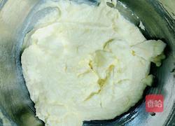 奇亚籽麦片奶酪司康的做法图解7