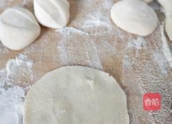 素三鲜虾仁饺子的做法图解10