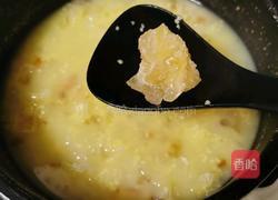 桃胶银耳小米粥的做法图解10