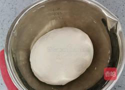 蒸春饼的做法图解3