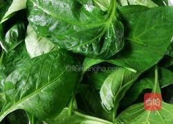 辣椒叶鸡肉片汤的做法图解3