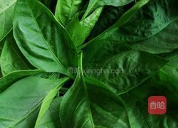 辣椒叶鸡肉片汤的做法图解2