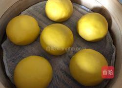 南瓜馒头(一次发酵)的做法图解11