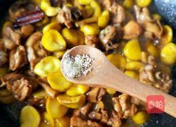 板栗烧鸡块的做法图解15