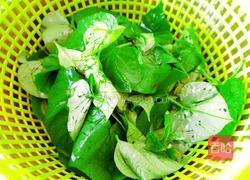 丝瓜炒地瓜叶的做法图解3