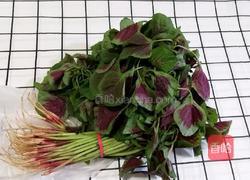 苋菜炒鸡蛋的做法图解1