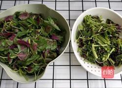 苋菜炒鸡蛋的做法图解2