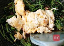 苋菜炒鸡蛋的做法图解10