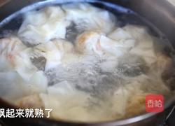 加拿大北极虾鲜肉云吞的做法图解7