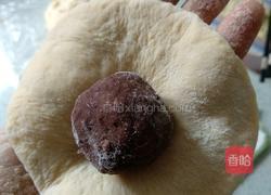 豆沙包的做法图解4