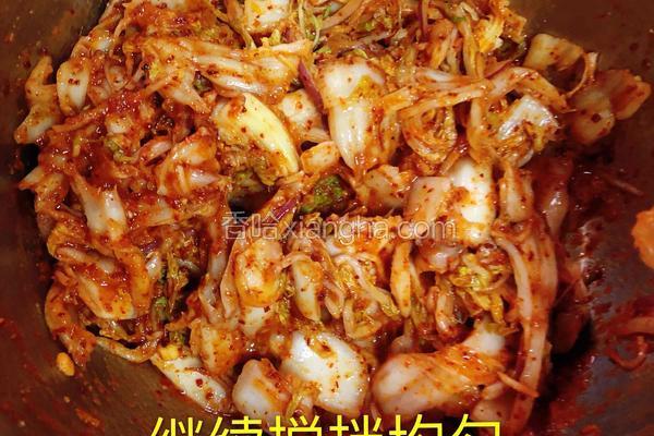 家庭版韩式辣白菜