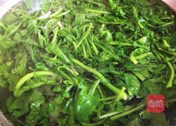 秋季养生小菜萝卜苗小豆腐的做法图解3