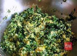 秋季养生小菜萝卜苗小豆腐的做法图解13
