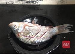 枸杞蒸鲫鱼的做法图解1