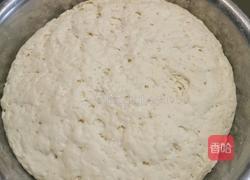 韭菜鸡蛋包子的做法图解12