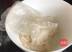 莲蓉肉松蛋黄酥的做法图解4