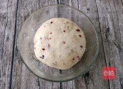 蔓越莓司康（酵母版)的做法图解8