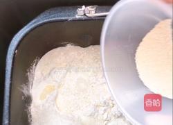 蜂蜜小面包的做法图解5