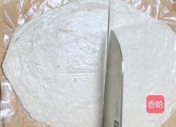 酥皮鲜肉春卷(飞饼版)的做法图解9